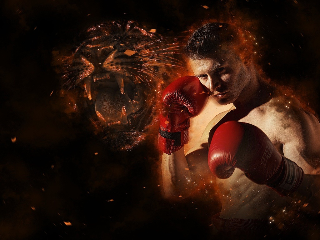 Jaký je rozdíl mezi Kickboxem a Thaiboxem?